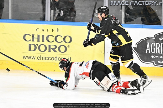2025-02-08 Mastini Varese-Hockey Caldaro 3543 Andrea Vanetti